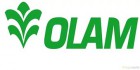 OLAM Ukraine выиграла тендер на закупку пшеницы GASC